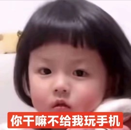 🍎果果的狗的图片
