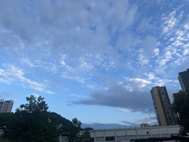 好运兔兔的图片