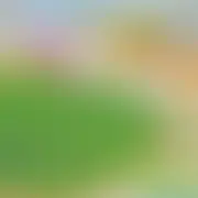 轻舞飞扬随风