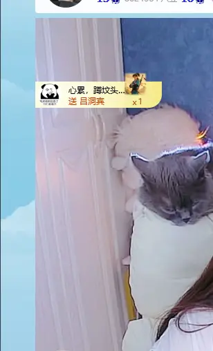 青青下半年走鸿运主播图片