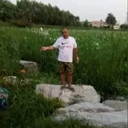 大伟l0p