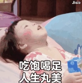 🍎果果的狗的图片