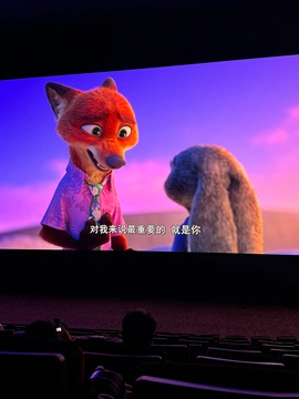 袁舟舟舟的图片