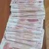 单身小哥0p