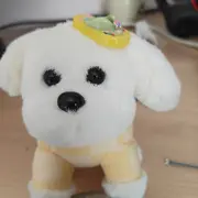 别抽奖饿死挂