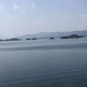 （程🌲）