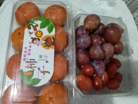 木子kigo九月好运的图片