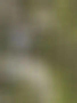 有事休息几天开播放卡主播图片