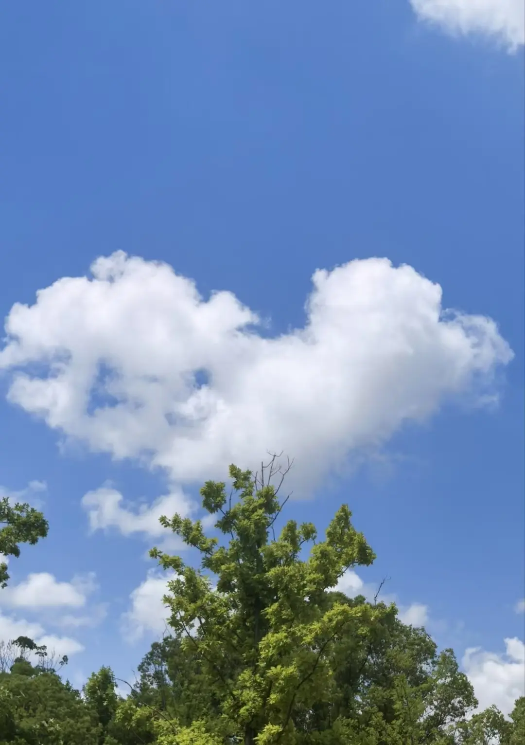 倾颜🥰反派甜心主播图片