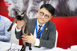 怡霖-名猫的图片