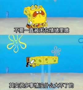 齐悦🎵爱唱歌的图片