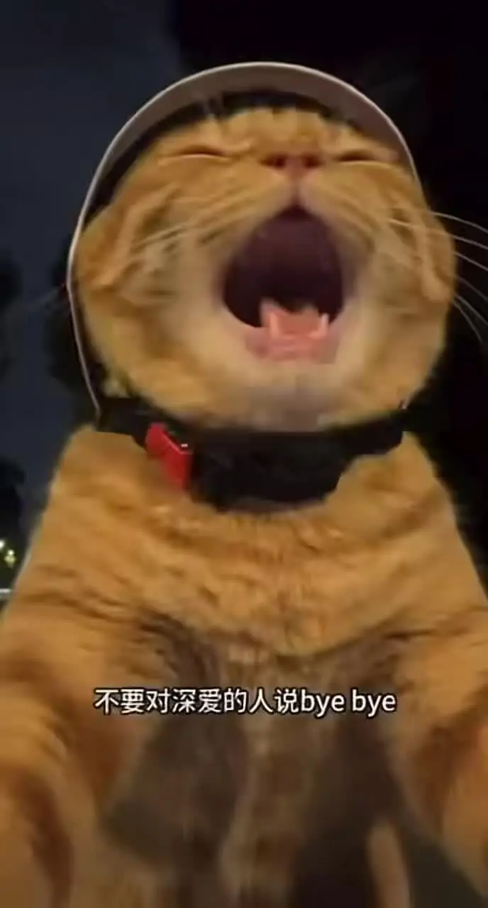 特别难特别无助的时候