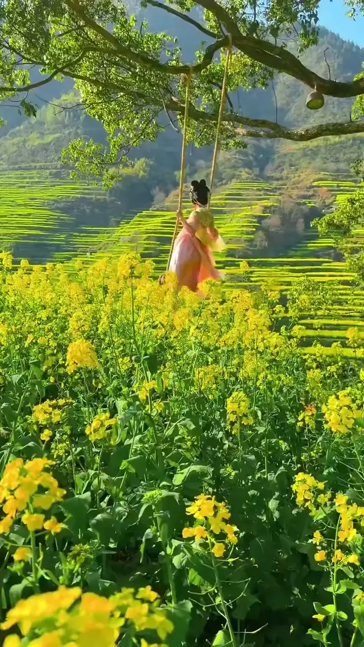 🍀🍀你一定要勇往直前