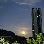 小懒虫…