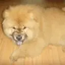 ︶善待自己︶