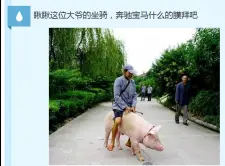 天·心的图片