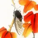 `咪咪嘎