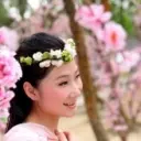 ↘花彩蝶↙