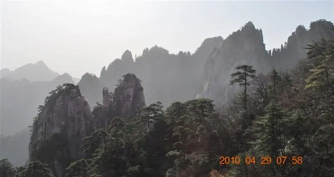 当土豆爱上西红柿的主播照片