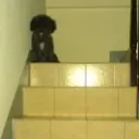 ︶ㄣMe〃獨行路客
