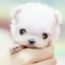 我知道躲不过