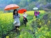 東北少帥的主播照片