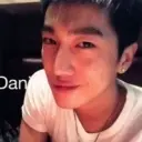 习惯寂寞的狼