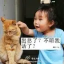爆焰飞龙