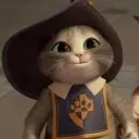 ╰︶￣茄菲猫`ｒａｅ