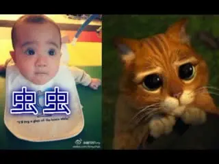 2388-被抓到啦