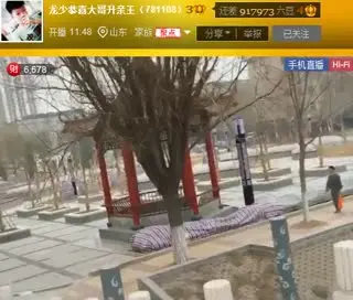 大风过后